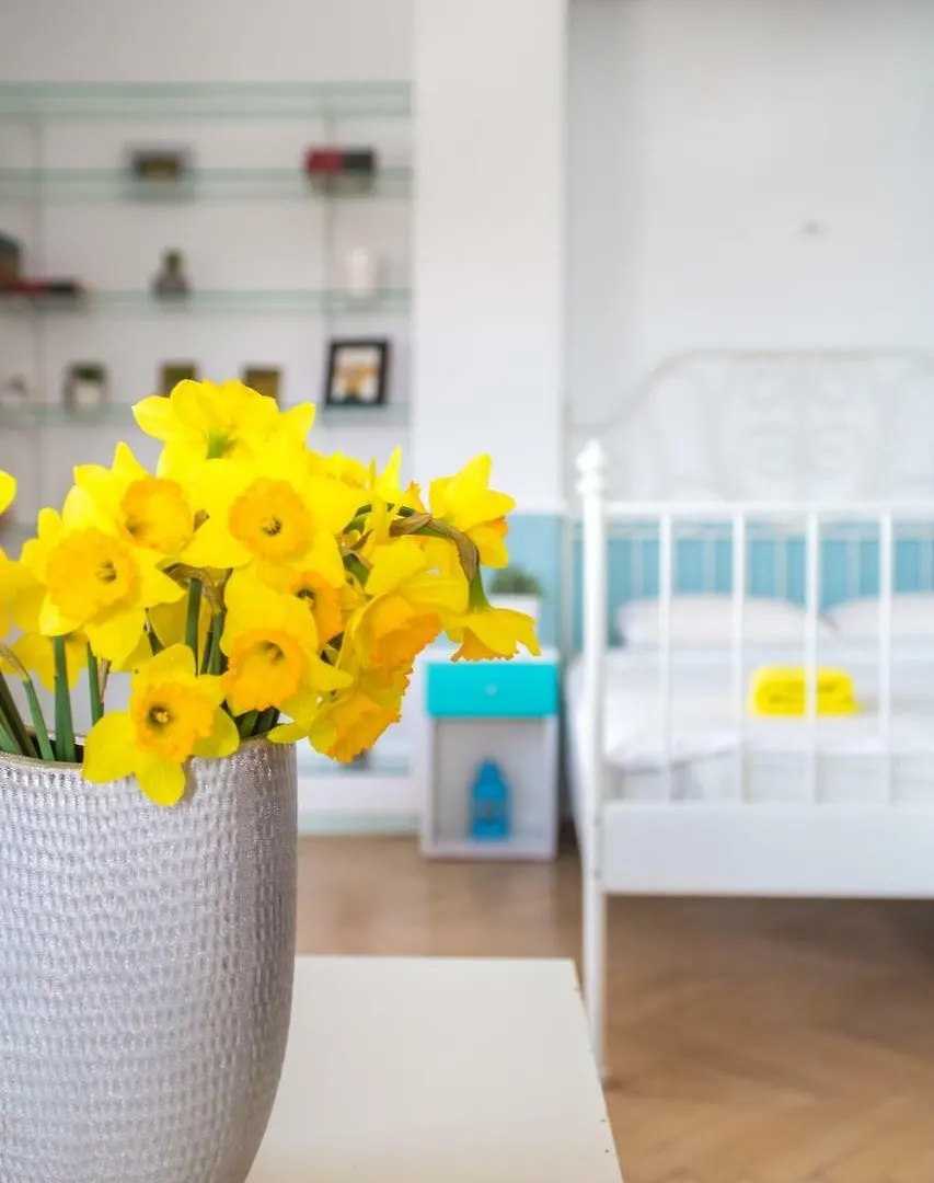 Color Apartment New Design Bucharest